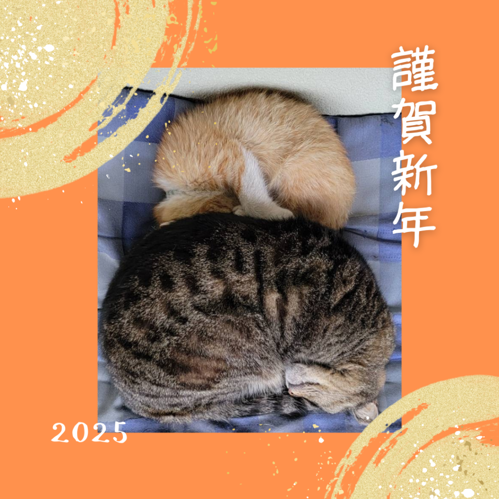ねこさんは、いつもかわいい。の外観